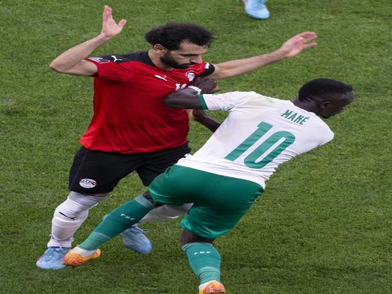 抽象！塞内加尔航空邀请此前激光笔干扰萨拉赫的球迷观赛